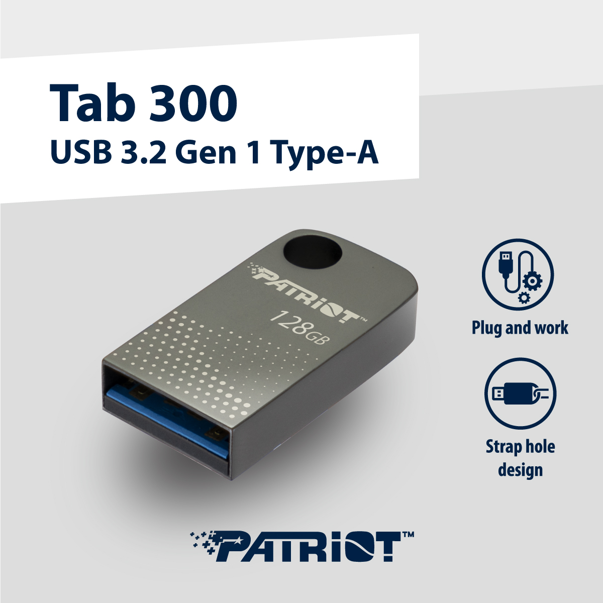 PATRIOT TAB300 01.jpeg (287 KB)